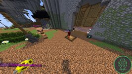 IMG_0530.jpeg