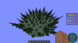 Симулятор 2.png