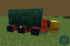 Screenshot_70.png