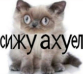 1783203503381.png
