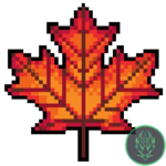 Maple_logo.png