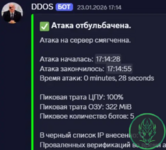 Снимок экрана 2026-08-09 194437.png