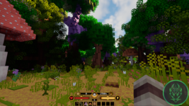 img30.png