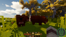 img51.png