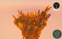 16.png