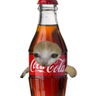 Fhonk90611