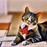 MrCatBoss