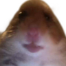 Danikukabai