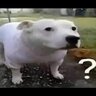 Андрей Великодушный
