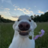 Skyzi