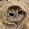 Perfis_