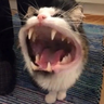 eessthetic