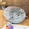 PS_LAZY_SEAL