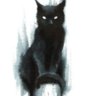 fullshadowcat