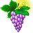 vinogratuoy