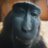 jksHJ