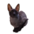 qqh1tch
