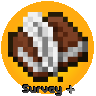Survey Plus