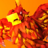 [LittleRoom] PHEONIX