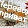 Перевод плагина WorldGuard | C-MOON🦊
