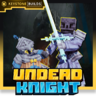 Undead Knight Boss & Minion